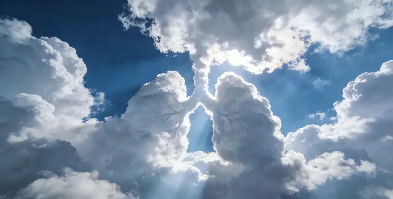 南京肺癌靶向39基因检测（组织）图片1