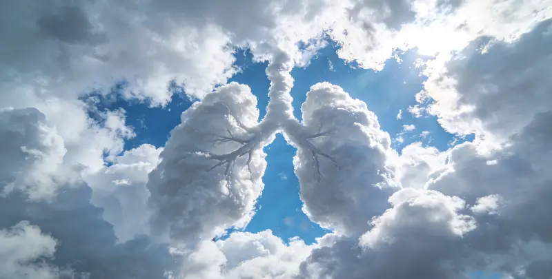 肺癌靶向39基因检测（组织）图4