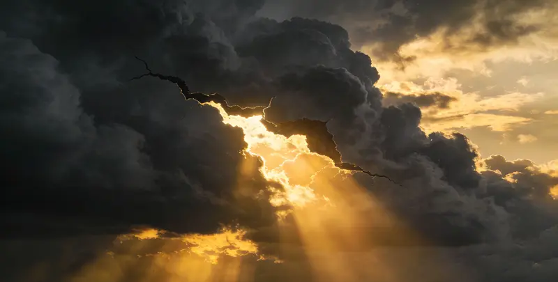 南京肺癌8基因突变检测（组织）图片1