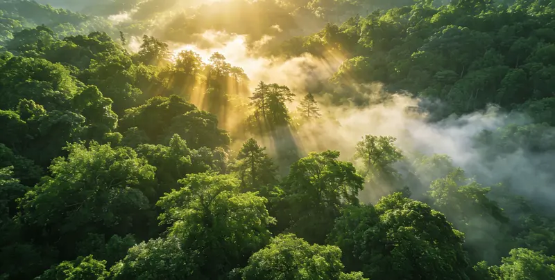 南京肺癌靶向120基因检测（组织）图片1